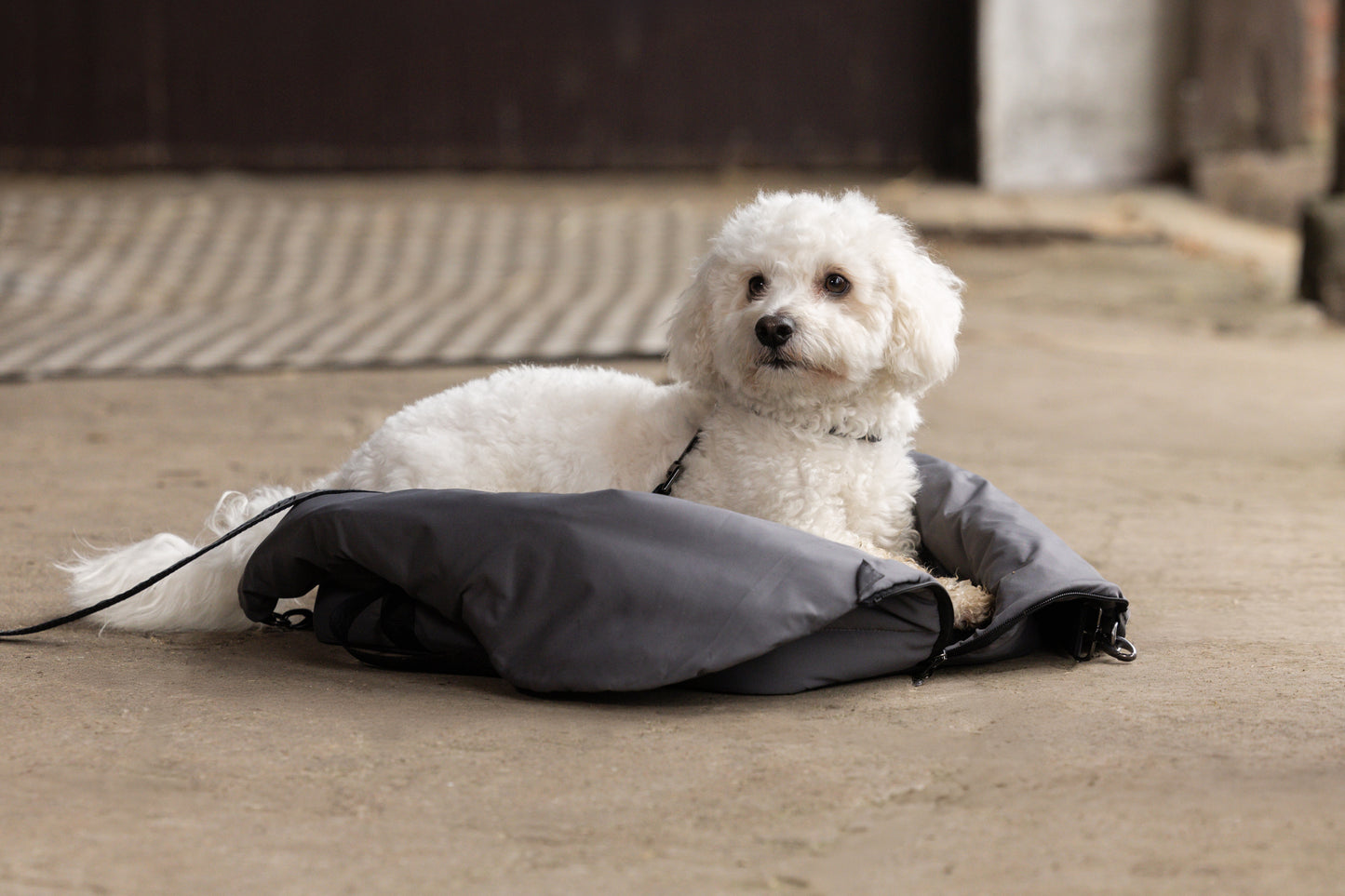 Kingsland KLMacey Dog Blanket Bag - Draagtas
