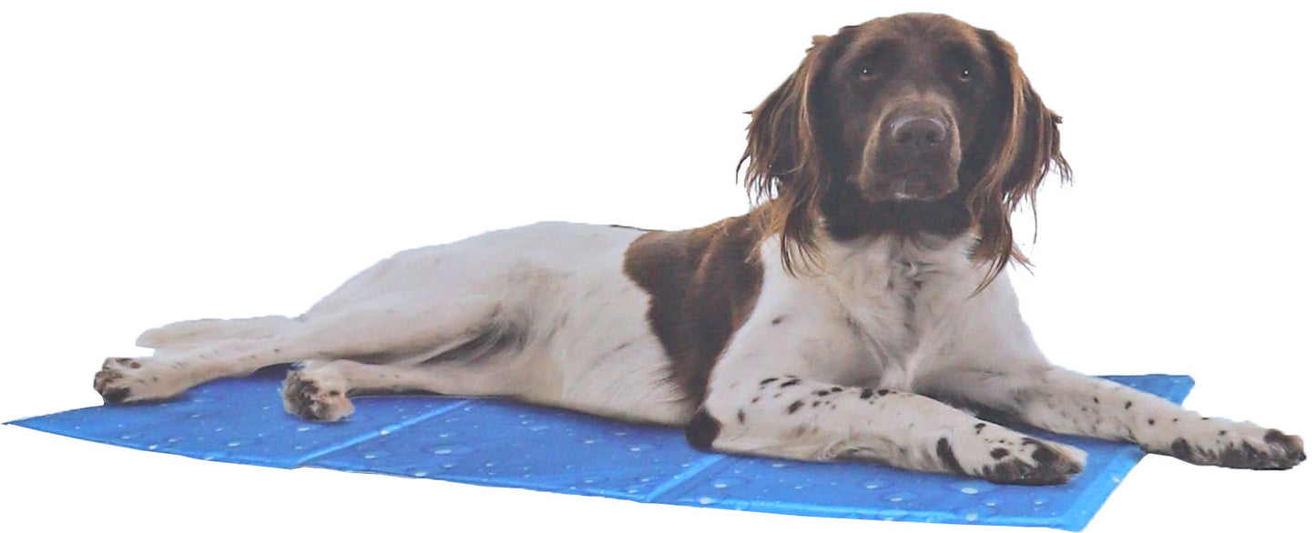 Kowloon Cool mat blauw bubble
