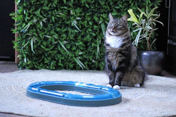 Boon kat speelgoed poezenparcours met 2 ballen