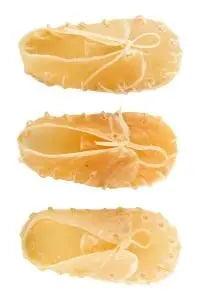 Kauwschoentjes per 10 stuks - Nena's Pets