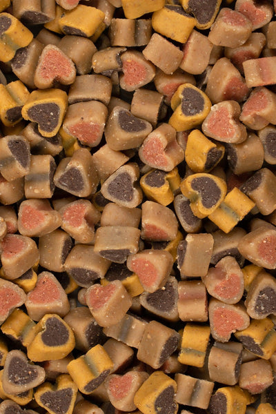 Voskes Trainers - Nena's Pets