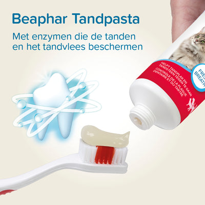 Beaphar Tandpasta 100 g Lever