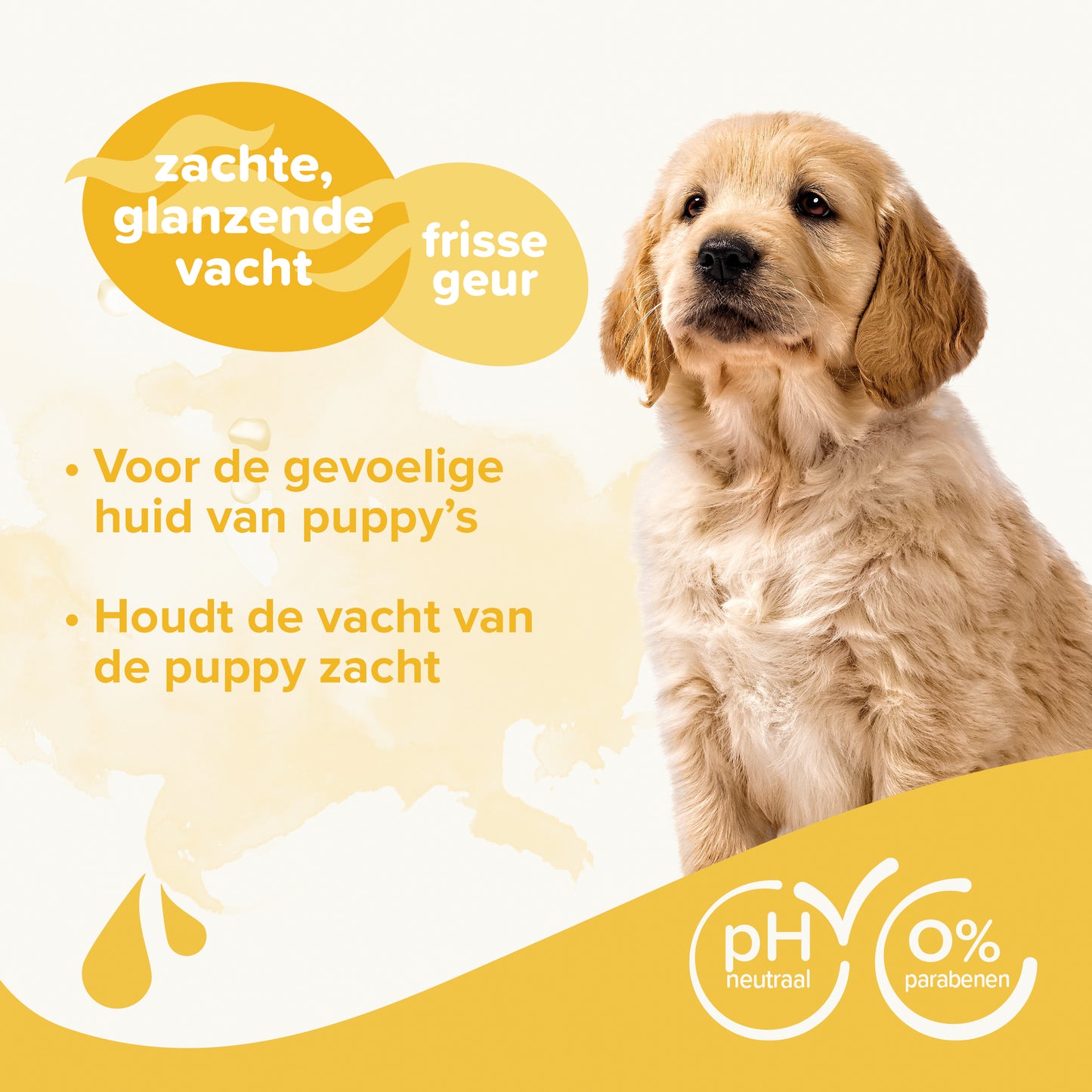 Beaphar puppy shampoo