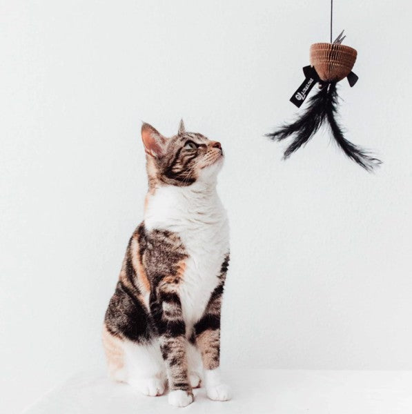 BAIT Kattenhengel Zwart