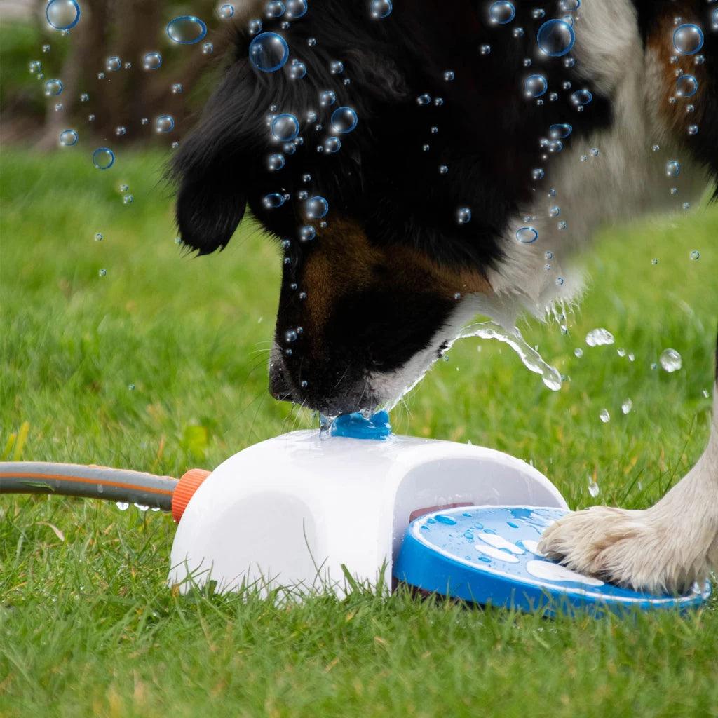 CoolPets Splash Water Fountain - Nena's Pets
