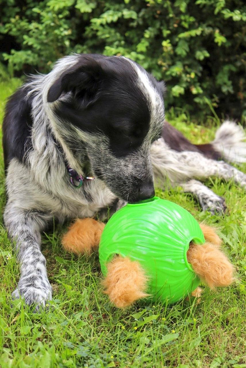 Nina Ottosson Dog Snuffle N' Treat Ball behendigheid spel - Nena's Pets