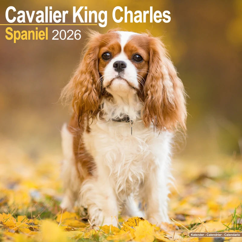 Kalenders 2026