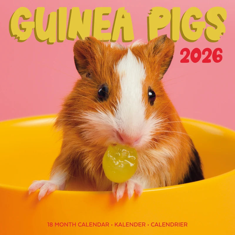 Kalenders 2026