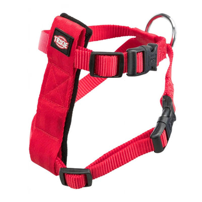 Autogordel voor katten - Nena's Pets