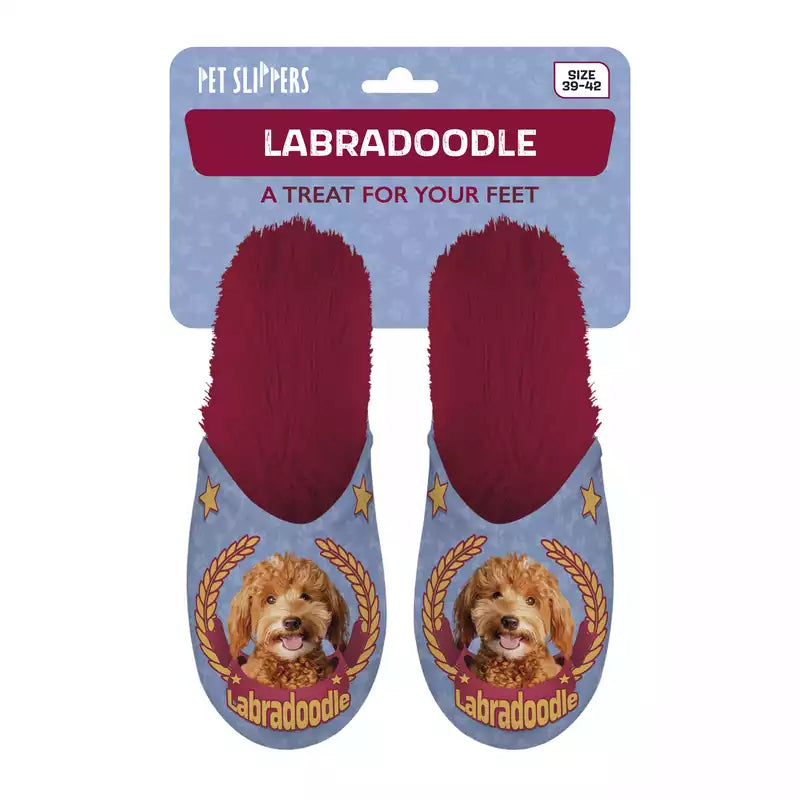 Pet Slippers