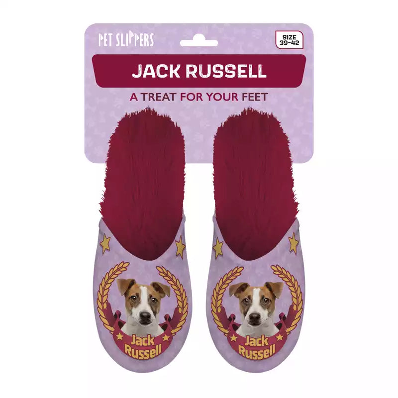 Pet Slippers