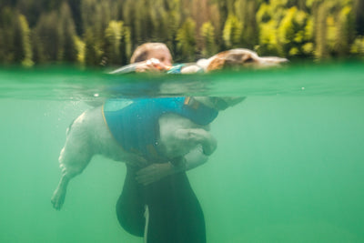 Ruffwear Float Coat - Nena's Pets