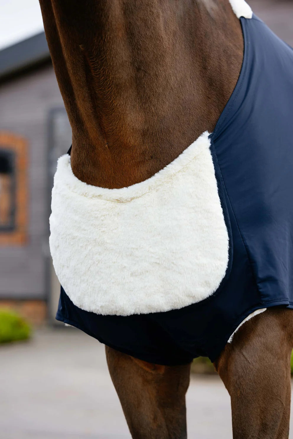 LeMieux Sensitive Anti Rub Bib Navy