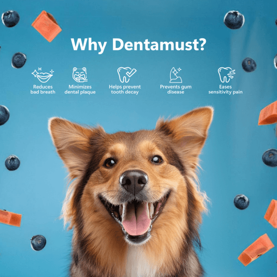 Pawfect himalayan cheese chews Dentamust - Nena's Pets