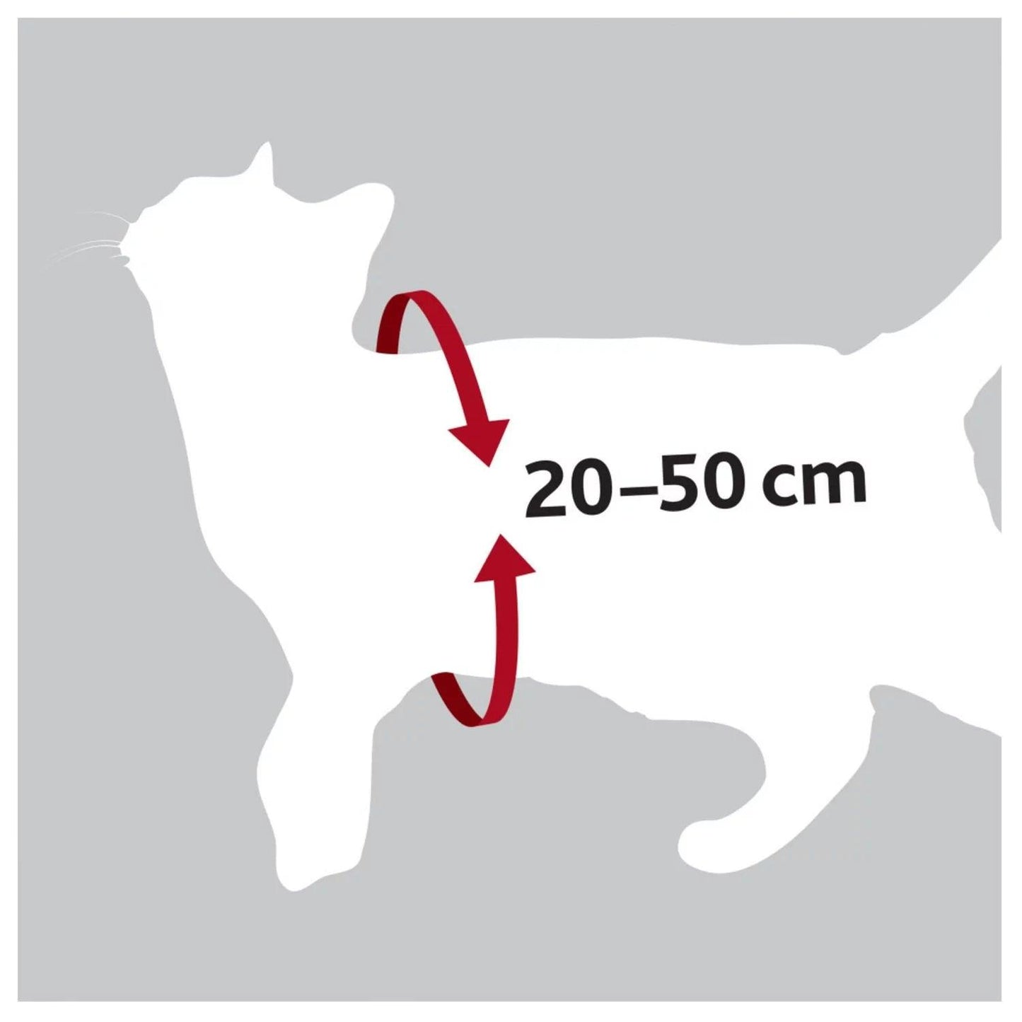 Autogordel voor katten - Nena's Pets