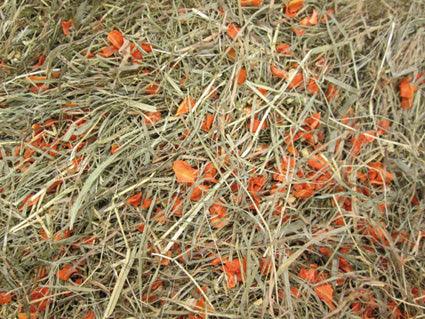 Barn-I Kruidenhooi Echinacea - Nena's Pets