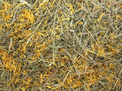 Barn-I Kruidenhooi Goudsbloem & brandnetel - Nena's Pets