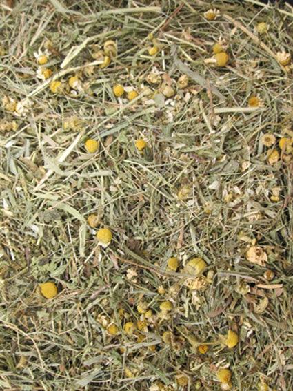 Barn-I Kruidenhooi Kamille & paardenbloem - Nena's Pets