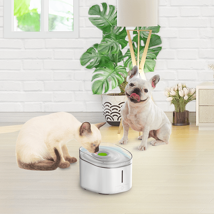 AFP Lifestyle 4 Pet fontein 3liter - Nena's Pets