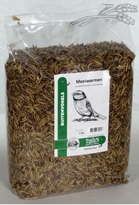 Meelwormen - Nena's Pets