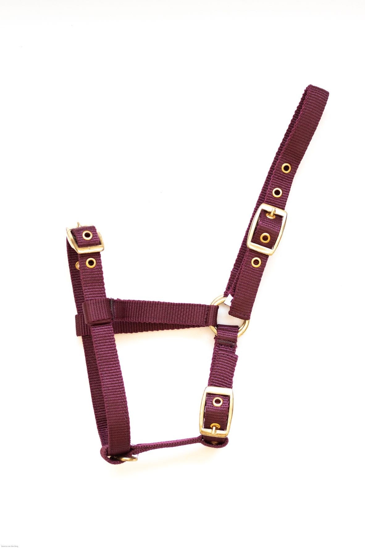 HB Nylon veulenhalster