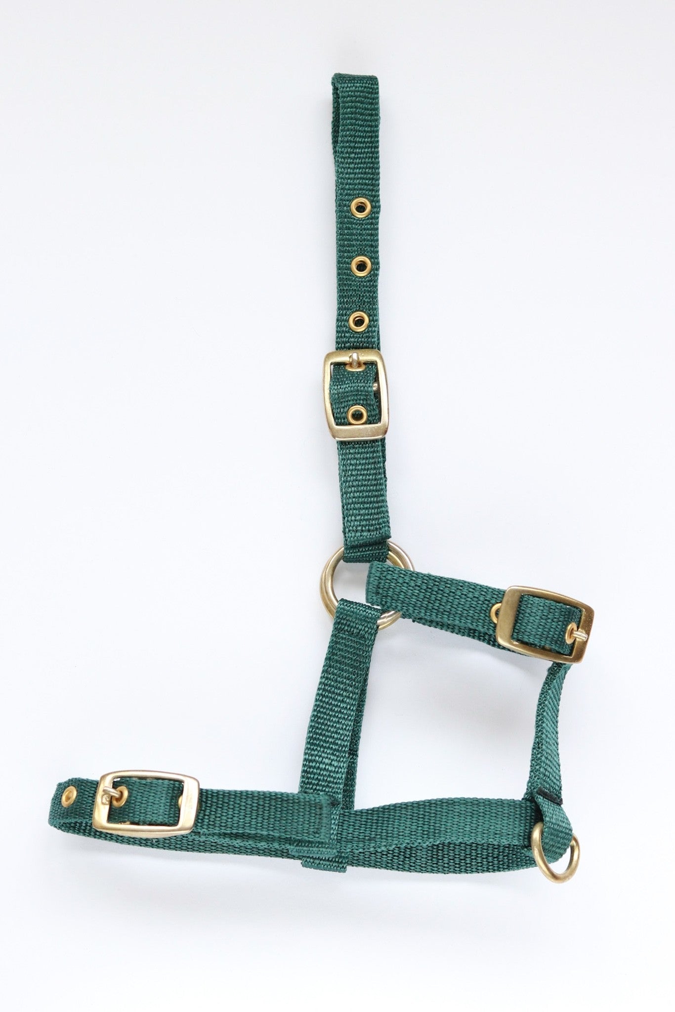 HB Nylon veulenhalster