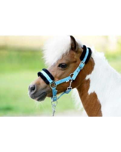 HB Little sizes Sunny Flower halsters