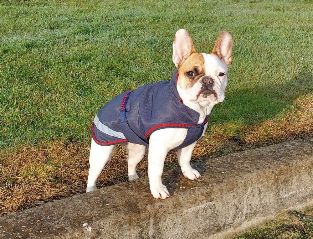 Bucas Freedom Dog Rug Regendeken