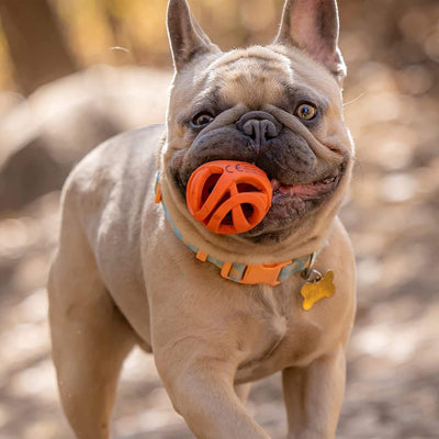 Chuckit Air Fetch bal - Nena's Pets