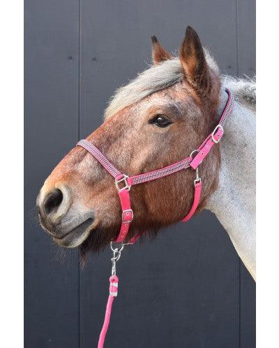 HB Halster Diamonds Collection xxfull - Nena's Pets