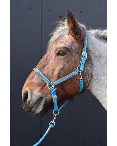 HB Halster Diamonds Collection xxfull - Nena's Pets
