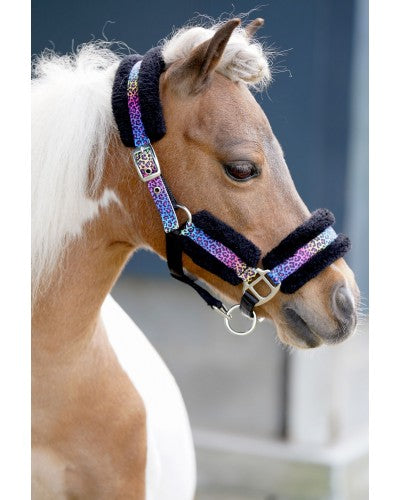 HB Little sizes funny halster Mini shet - Nena's Pets