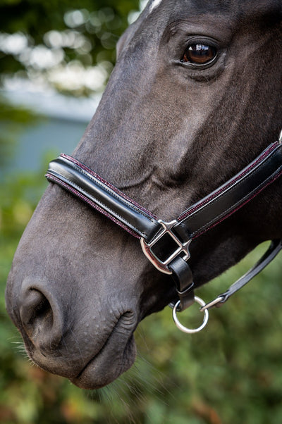 HB Showtime Glitty Halster