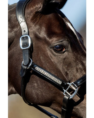 HB Showtime Lederen halster Lorenzo