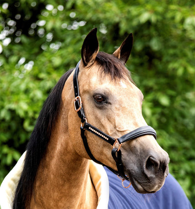 HB Showtime lederen halster Rose Gold