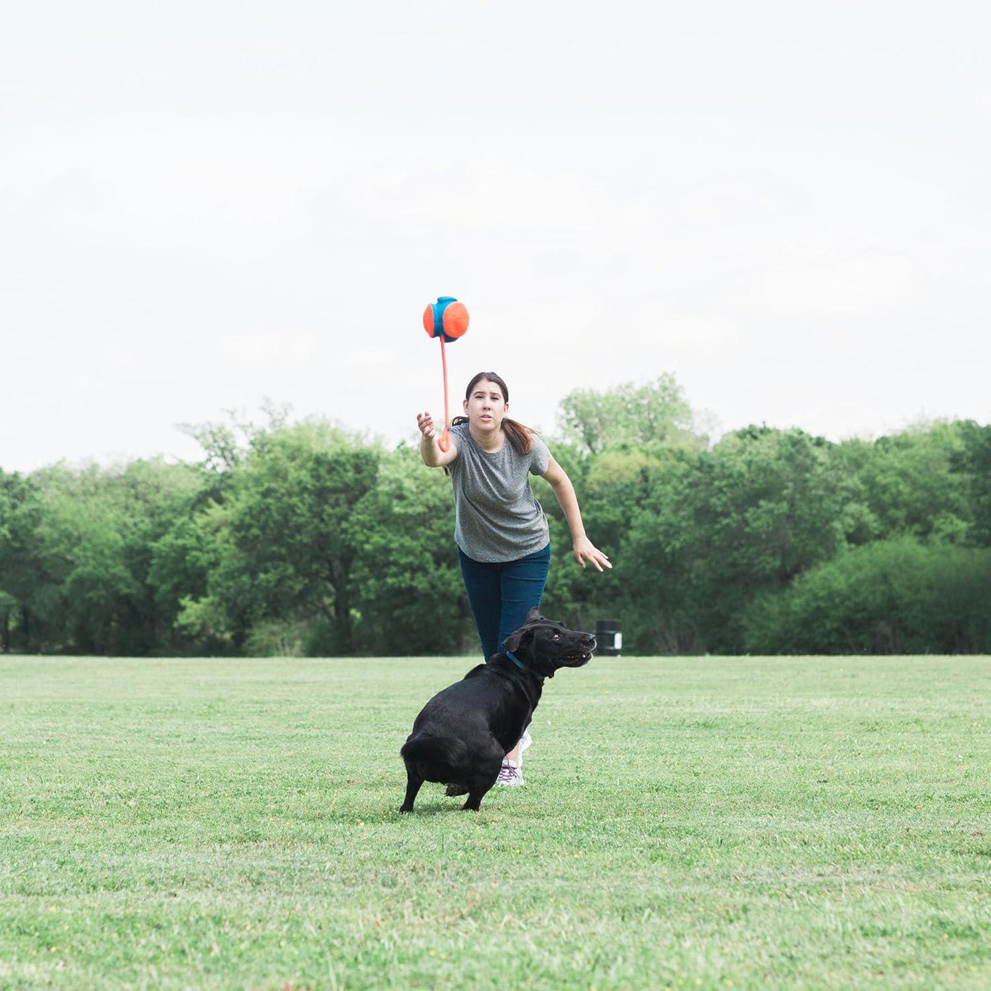 Chuckit Rope Fetch bal - Nena's Pets