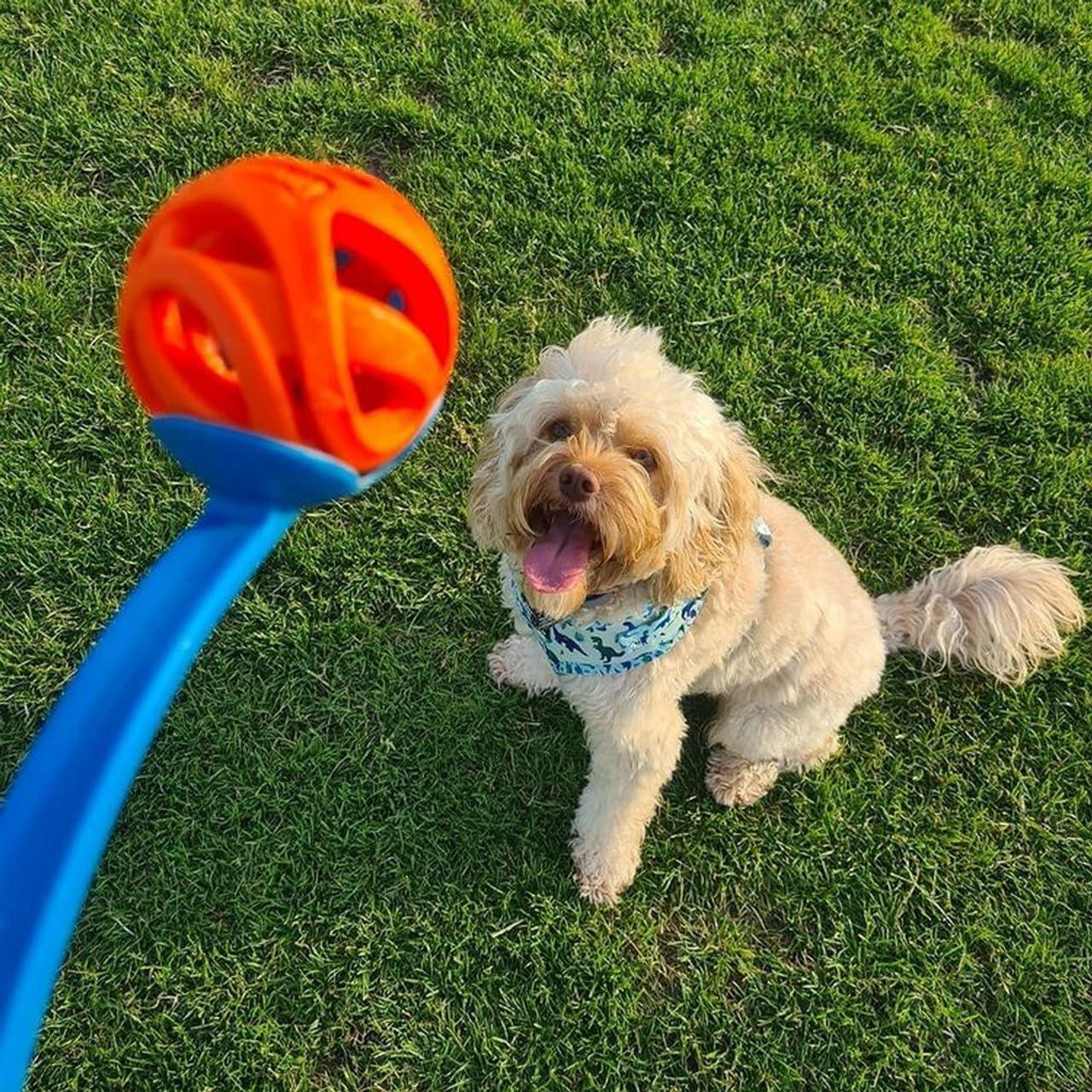 Chuckit Air Fetch bal - Nena's Pets