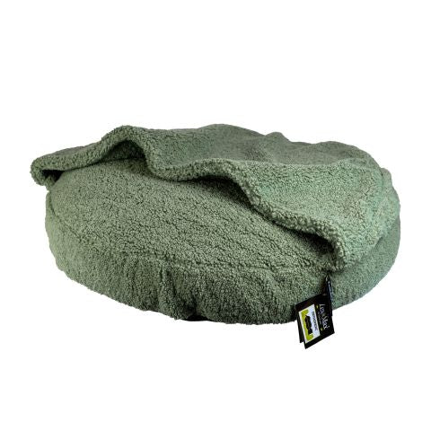 Lex & Max Orthopedic Dachshund hoodie