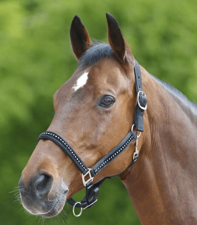 Halster crystal - Nena's Pets