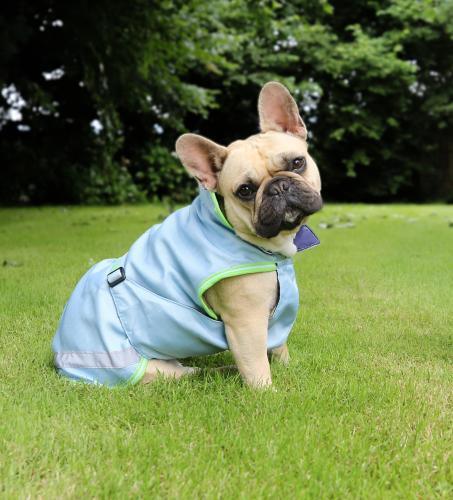 Bucas Freedom Dog Rug Regendeken - Nena's Pets