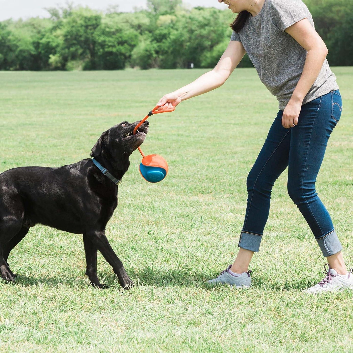 Chuckit Rope Fetch bal - Nena's Pets