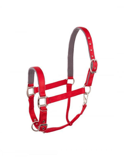 BR Event halster - Nena's Pets