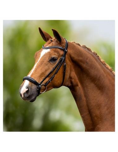 BR hoofdstel Hereford - Nena's Pets