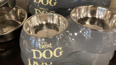 Beeztees Best Dog - Dinerset Hond - Nena's Pets
