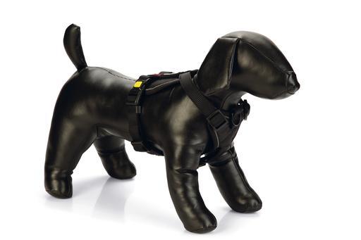 Beeztees Premium Parinca Y tuig - Nena's Pets