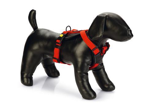 Beeztees Premium Parinca Y tuig - Nena's Pets