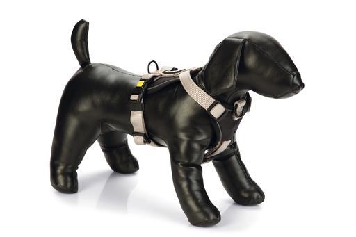 Beeztees Premium Parinca Y tuig - Nena's Pets