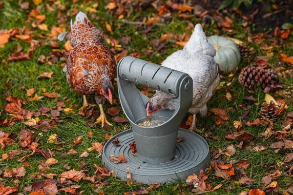 Beeztees Speel- en Snacktoren - Kippen - Nena's Pets