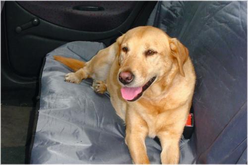 Beeztees autodeken universeel 110x130 - Nena's Pets