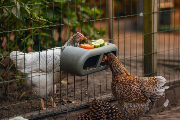 Beeztees kippen hangende voerbak - Nena's Pets